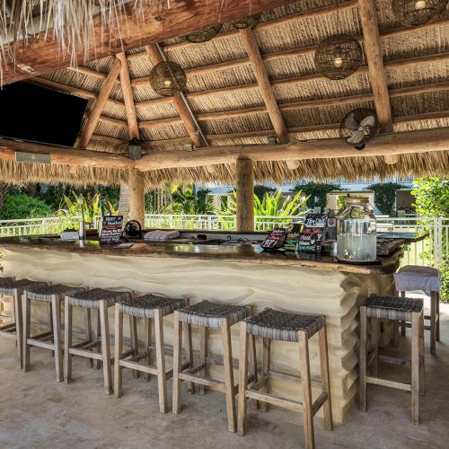 The image features an outdoor tiki bar with a thatched roof, wooden stools, a counter, and surrounding lush greenery.