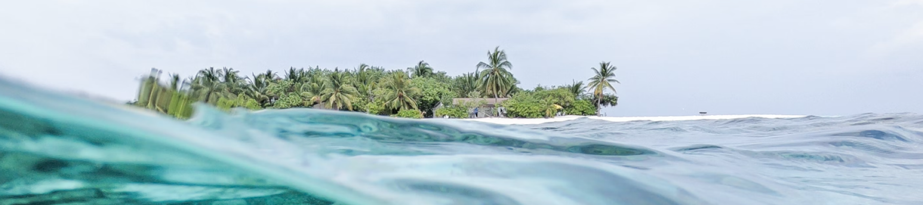 The image shows an over-under view of a tropical coastline with clear water and coral reefs below, and a green, lush island with palm trees above.