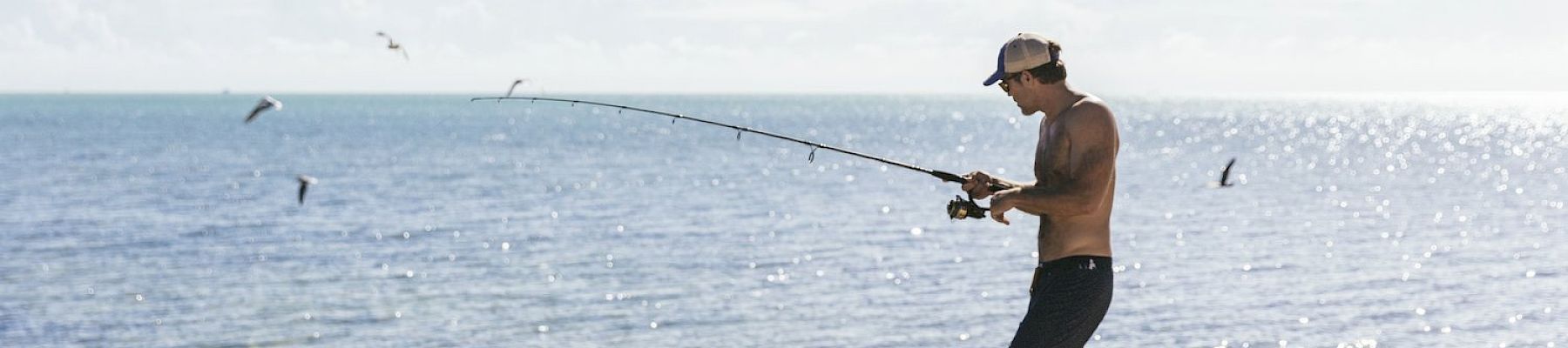 A person is fishing while standing on rocky terrain beside a body of water, with seagulls flying in the background under a clear sky.