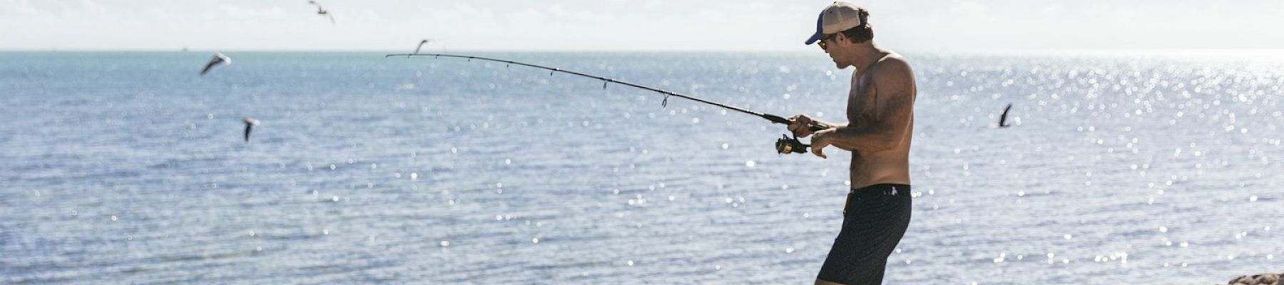 A person is standing on a rocky shore, fishing with a rod, under a clear sky by the sea. A few birds are flying in the background.