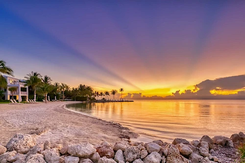 A serene beach scene at sunrise, with colorful sky, palm trees, rocky shore, and calm water. Peaceful and picturesque setting.