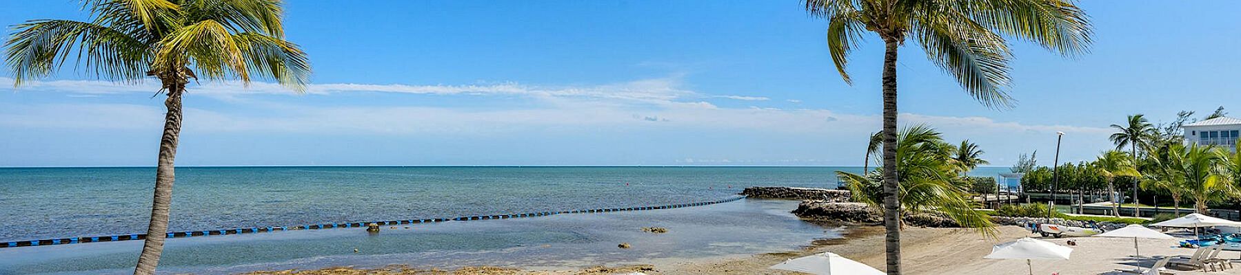 A beautiful beach scene with lounge chairs and umbrellas, palm trees, and calm ocean water under a clear blue sky, ending the sentence.