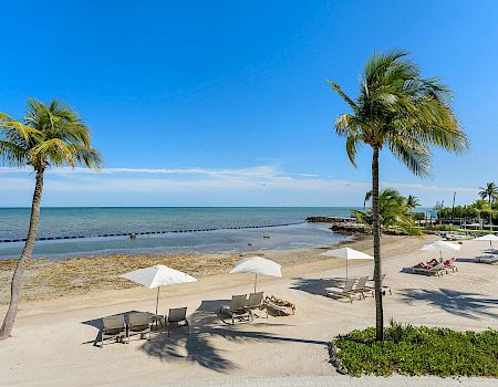 A beautiful beach scene with lounge chairs and umbrellas, palm trees, and calm ocean water under a clear blue sky, ending the sentence.