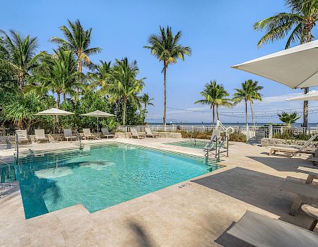 A serene tropical pool area with lounge chairs, umbrellas, and palm trees overlooking a water view under a clear blue sky.