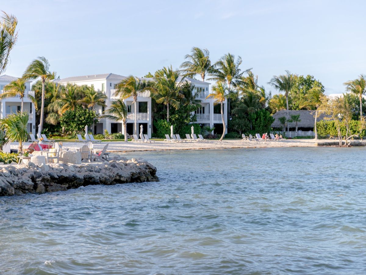 A beachfront scene with palm trees, lounge chairs, and white buildings by the water under a clear sky.