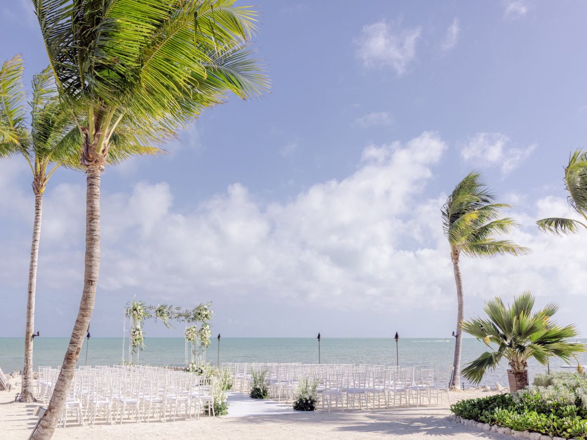 A beachside wedding setup with chairs and an arch, surrounded by palm trees, overlooking the ocean under a clear sky.