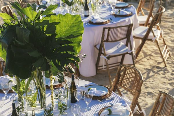 This image shows an elegantly set outdoor table by a waterfront, with white linens, large green centerpieces, and wooden chairs on a sandy surface.