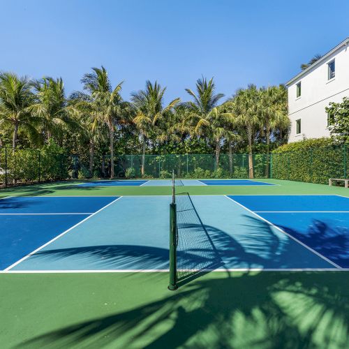 This image shows an outdoor tennis court surrounded by palm trees, with a clear sky and a house in the background.