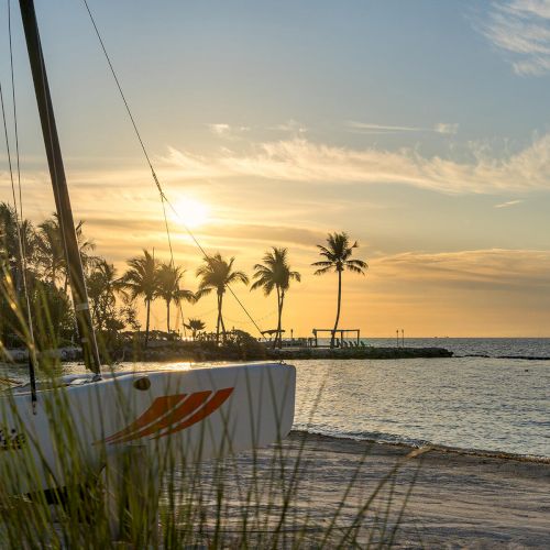 A serene beach scene at sunset with palm trees, a sailboat on the sand, and the calm ocean in the background.