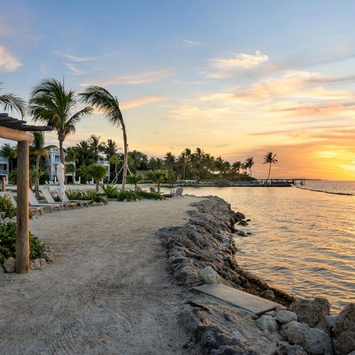 A serene beach scene at sunset with palm trees, a sandy path, hammocks, and calm ocean waves, creating a tranquil atmosphere.