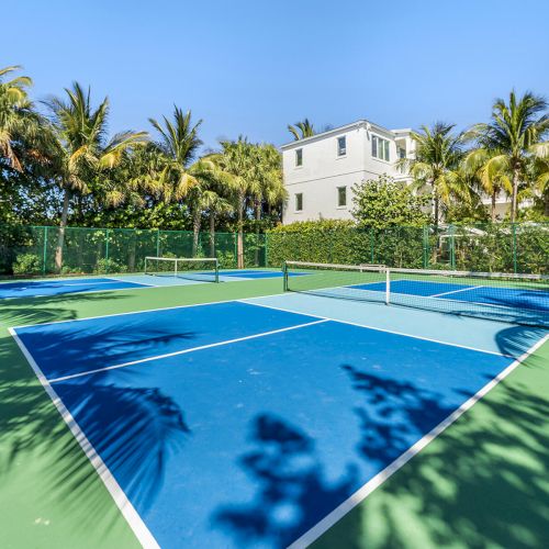 A tennis court surrounded by palm trees and greenery under a clear blue sky, with a white building in the background.