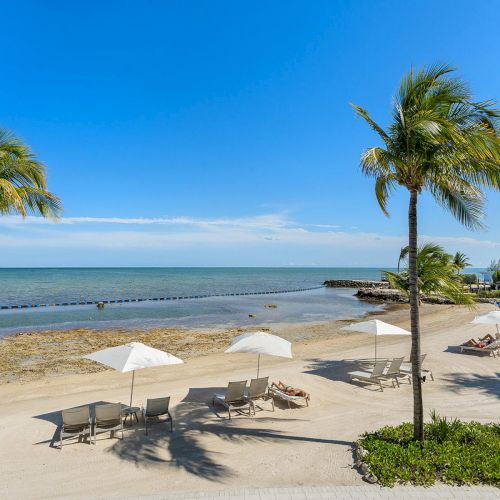 A sandy beach with lounge chairs, white umbrellas, and palm trees. Calm ocean water and clear blue sky in the background, creating a serene scene.