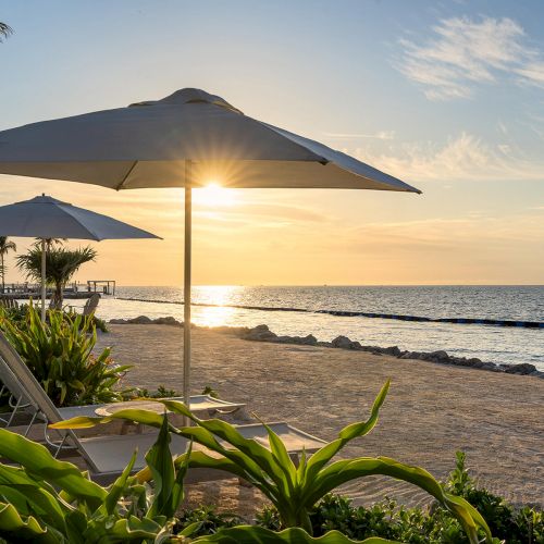 A beach scene at sunset with lounge chairs, umbrellas, and tropical plants by the sea under a clear sky.