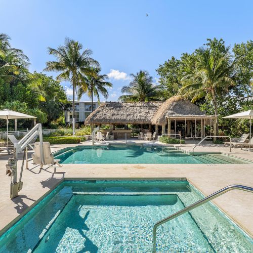 A tropical resort pool area with lounge chairs, umbrellas, and palm trees, under clear skies.