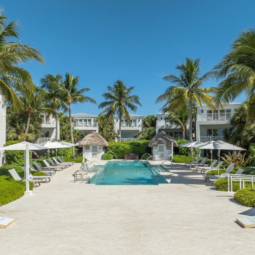 A tropical hotel pool area with palm trees, lounge chairs, and umbrellas, surrounded by white buildings under a clear blue sky.