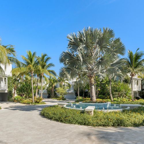 A courtyard with tropical palms, a circular fountain, and surrounding greenery under a clear blue sky.