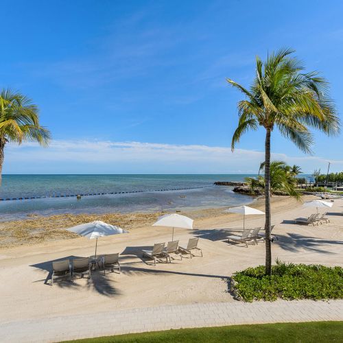 A sandy beach with lounge chairs and umbrellas, bordered by palm trees overlooking a calm blue sea under a clear sky.