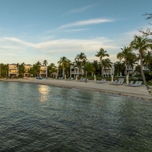 A scenic beach view with palm trees, modern beachfront houses, and clear, calm water under a blue sky.