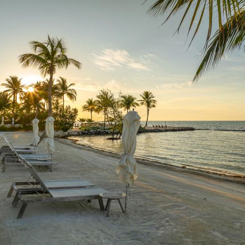 A serene beach scene with lounge chairs, palm trees, a calm ocean, and a sunset sky, creating a peaceful tropical atmosphere.