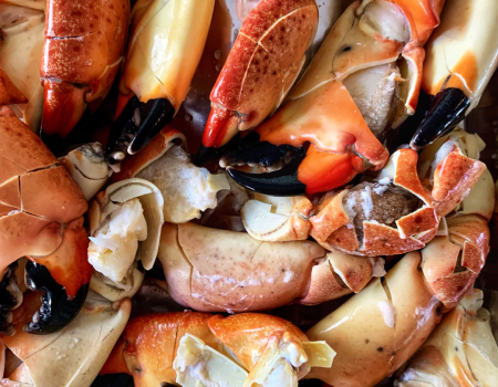 A pile of stone crab claws in various shades of orange and black, arranged closely together, ready for a seafood feast.