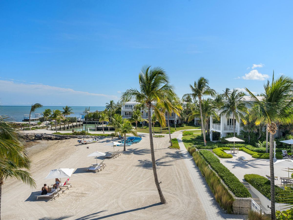 A sunny beach scene with palm trees, lounge chairs, and umbrellas on the sand near a resort or hotel, overlooking the ocean.