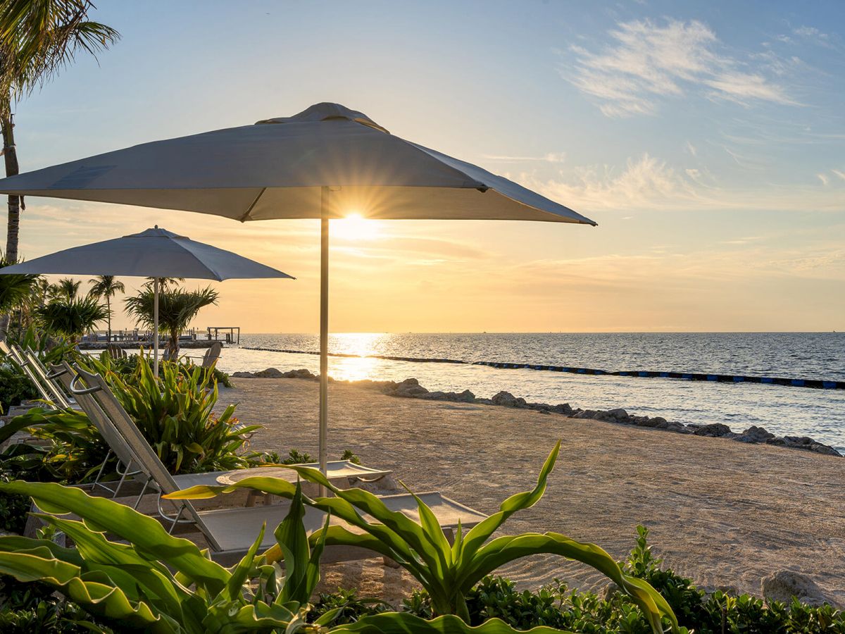 A serene beach scene with sun loungers under umbrellas, lush greenery, and a calm ocean during sunset adorned by a clear sky.