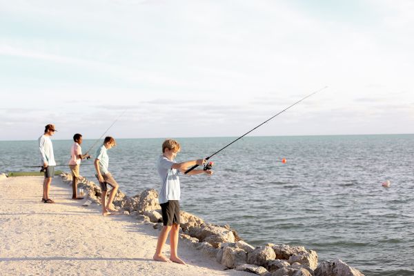 Four people are fishing on a rocky shore, facing the ocean under a clear sky.