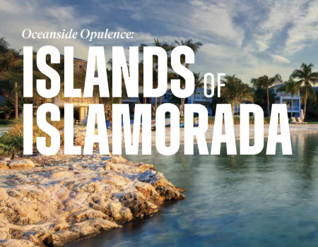 Islands of Islamorada: turquoise water, rocky shoreline, palm trees, sunny skies, tropical paradise in Florida.